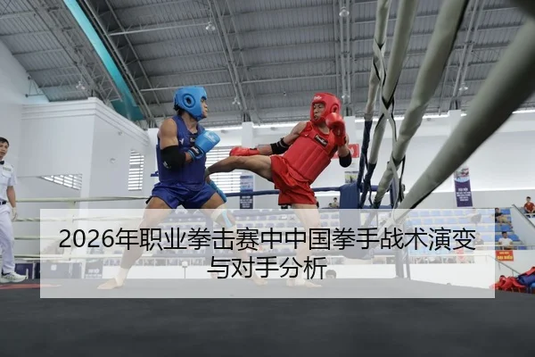 2026年职业拳击赛中中国拳手战术演变与对手分析
