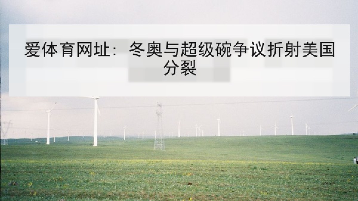 爱体育网址: 冬奥与超级碗争议折射美国分裂