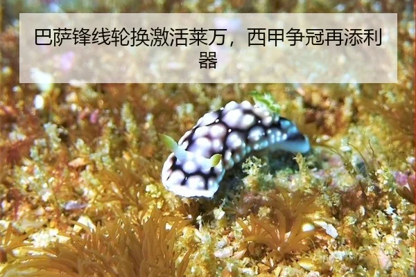 巴萨锋线轮换激活莱万，西甲争冠再添利器