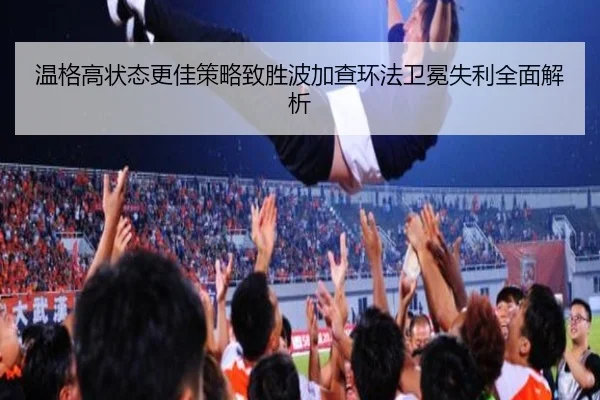 wen-ge-gao-zhuang-tai-geng-jia-ce-lve-zhi-sheng-bo-jia-cha-huan-fa-wei-mian-shi-li-quan-mian-jie-xi-2-301.jpg